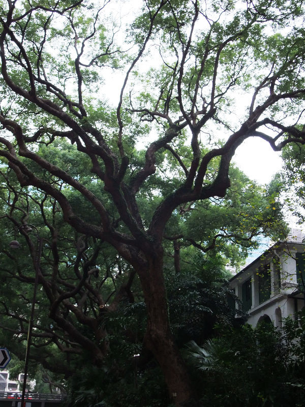 穷驴500块囧囧游香港（详细攻略带图）