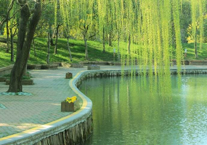 诗狂贺知章最出名的名句,贺知章最著名十首诗空山不见人