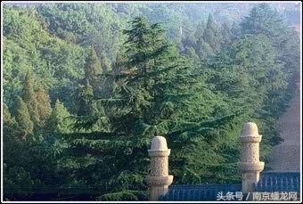 南京冷知识一览表,关于南京的十个冷知识