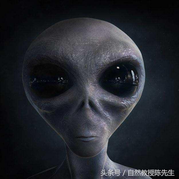 十大恐怖的维基词条,有关你不知道的全部恐怖故事