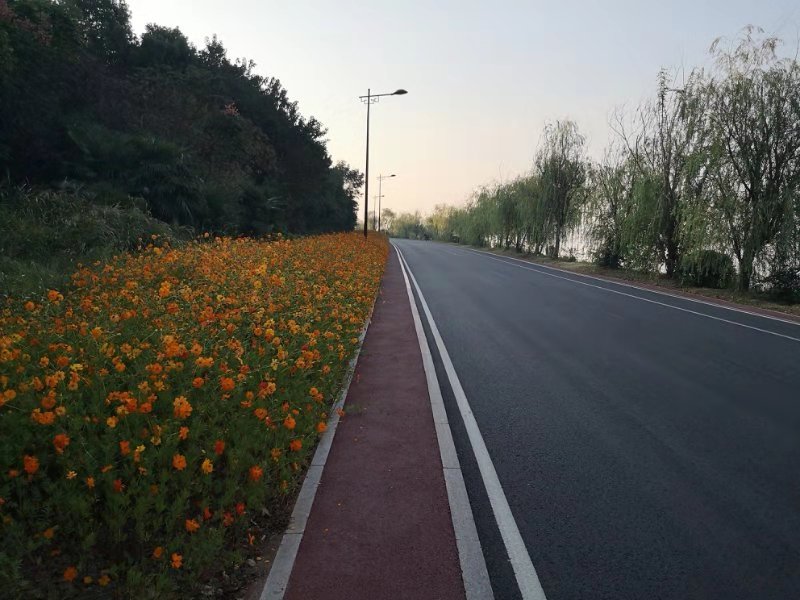 一年有365天英语怎么说,365天每天一句英语句子