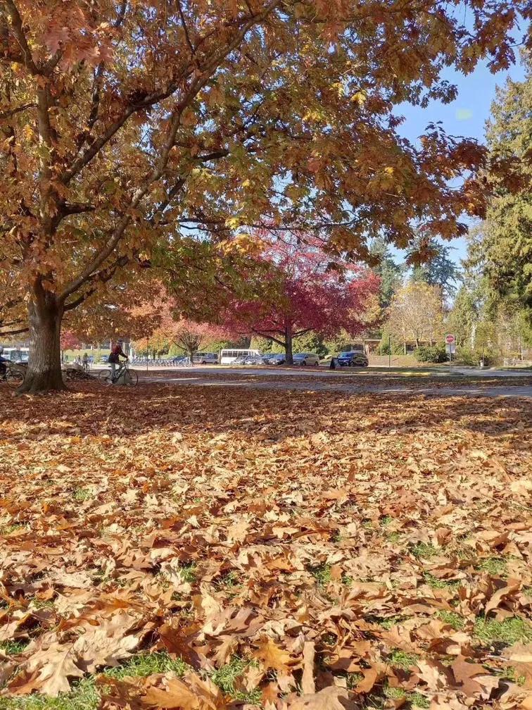 饮酒和吸烟对哪些检验结果有影响？