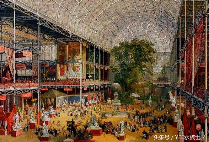 观赏水族养殖关键技术,水族养殖欣赏