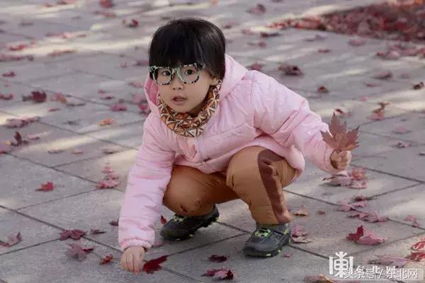 哈尔滨高校打卡,哈尔滨的风向标著名打卡地