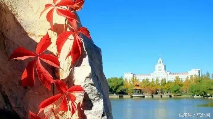 哈尔滨高校打卡,哈尔滨的风向标著名打卡地