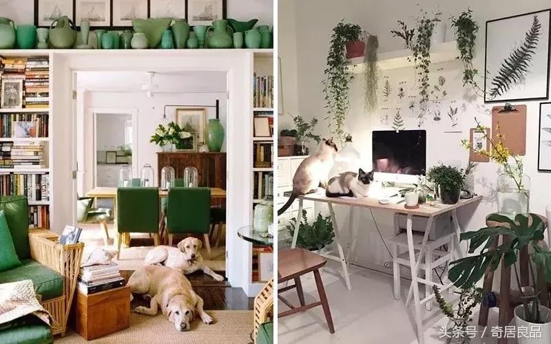 这10件小事，让我在秋日的家里更幸福！