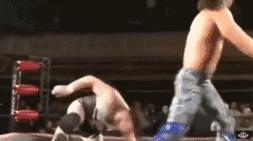 wwe最弱必杀技第一名,wwe踢中要害