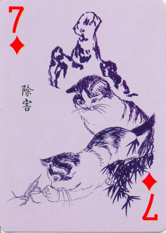 猫谱扑克欣赏,明星扑克牌欣赏