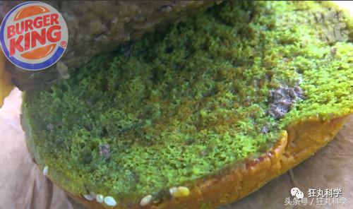 胆小的人吃不了，这款肥宅快乐堡吃了就会做噩梦