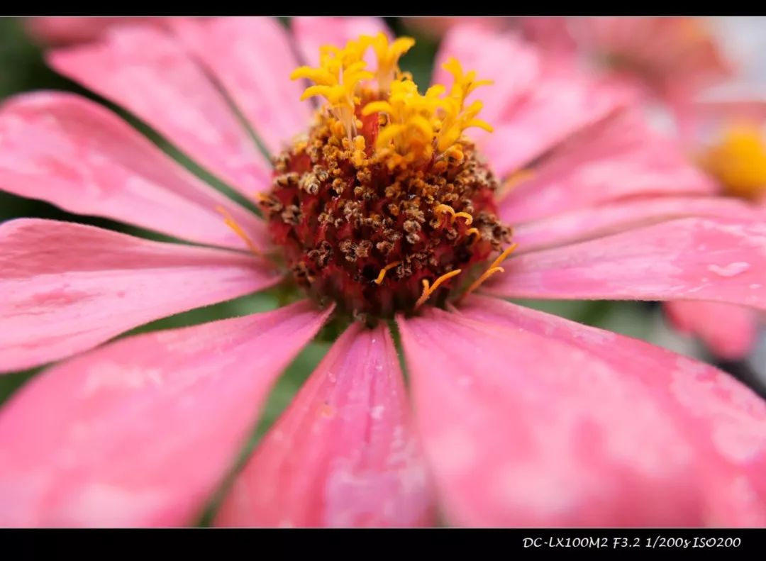 松下lx100m2色彩滤镜如何设置,松下lx100m2画质对比
