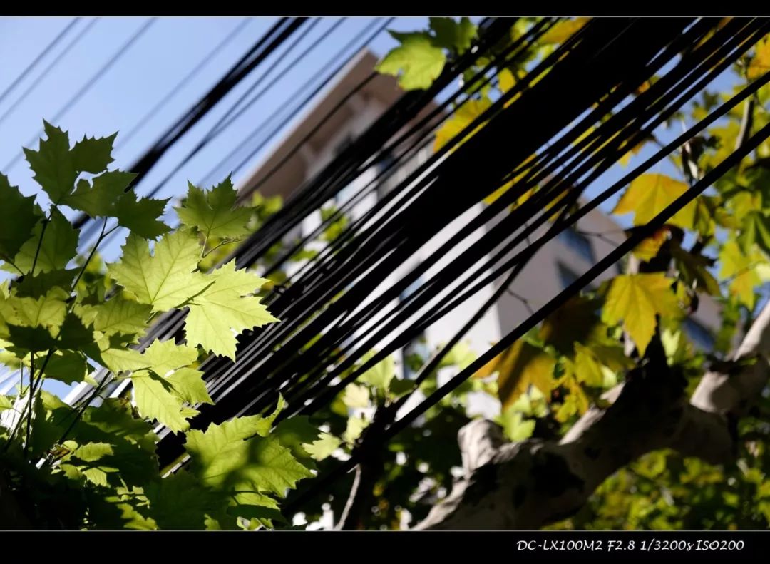 松下lx100m2色彩滤镜如何设置,松下lx100m2画质对比