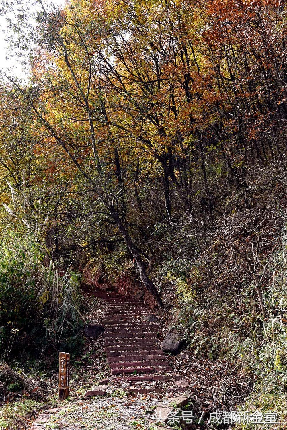 金堂秋色,秋天金堂十大必去景点