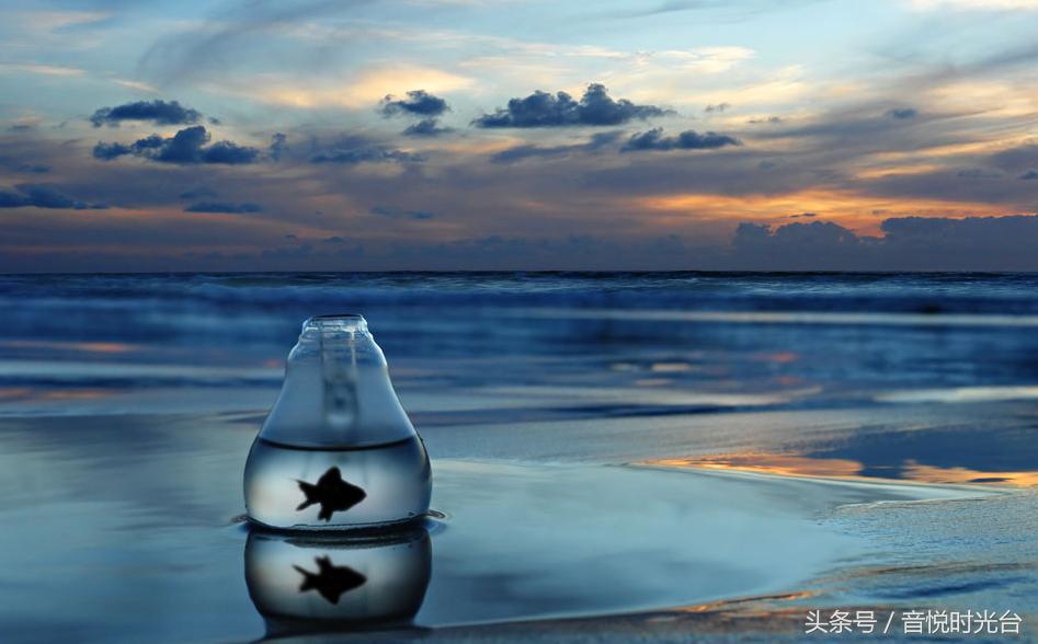 最哀婉的十首轻音乐,十首让人心境空灵的轻音乐