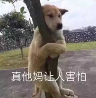 千万别看4D电影！哈哈哈哈哈哈哈哈哈哈哈哈哈哈哈哈哈哈