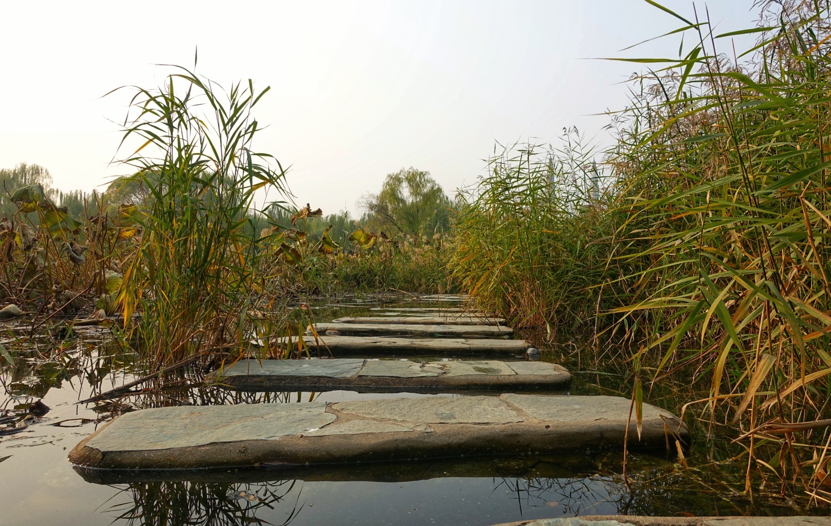 北京昌平金秋风景,昌平金秋周边一日游最佳攻略