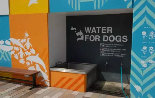 日本实体店是怎样干掉电商的,日本实体店是怎么干掉电商的