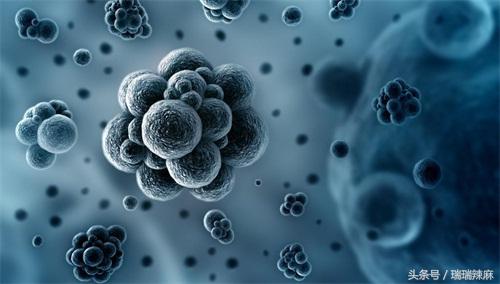 狗狗鼻子上长癣用什么药,狗狗癣菌皮肤病怎么治