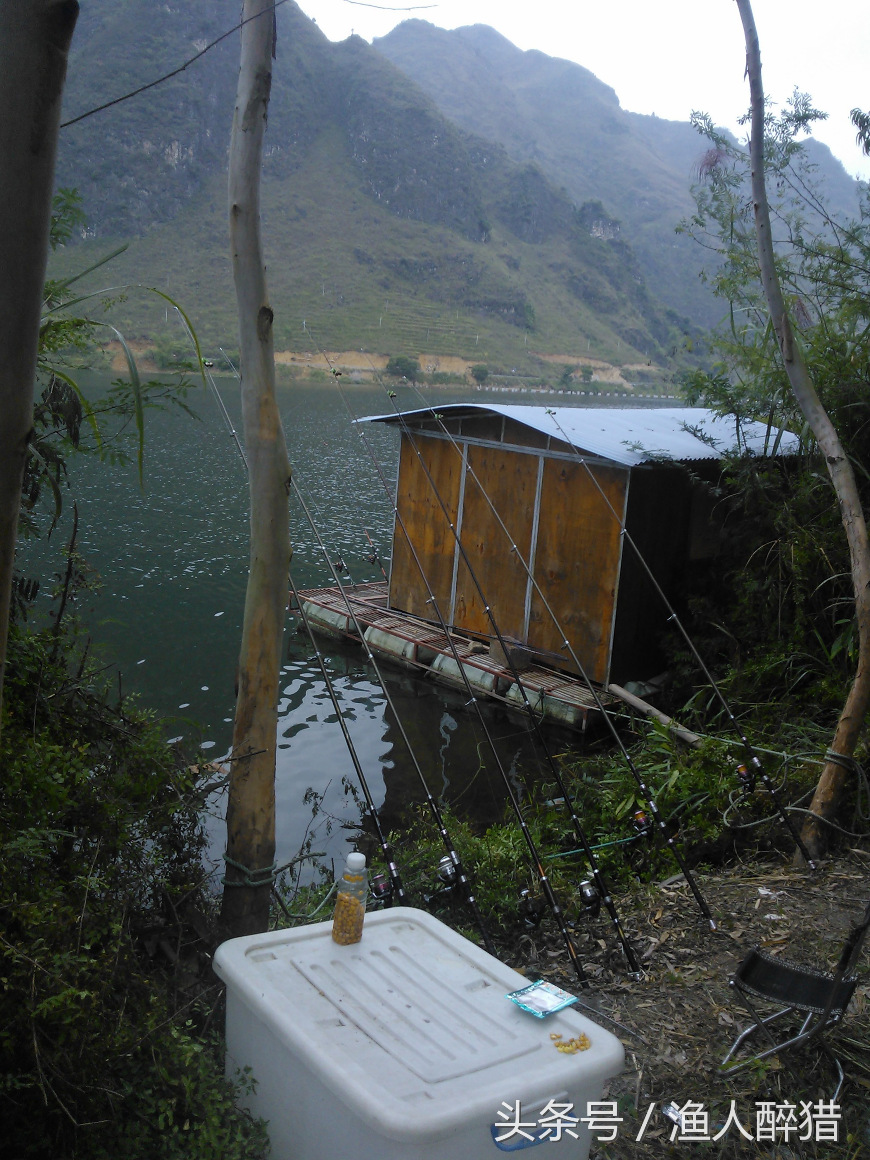 用玉米粒钓鱼怎样上钩,丁香酒泡玉米粒钓鱼效果怎么样