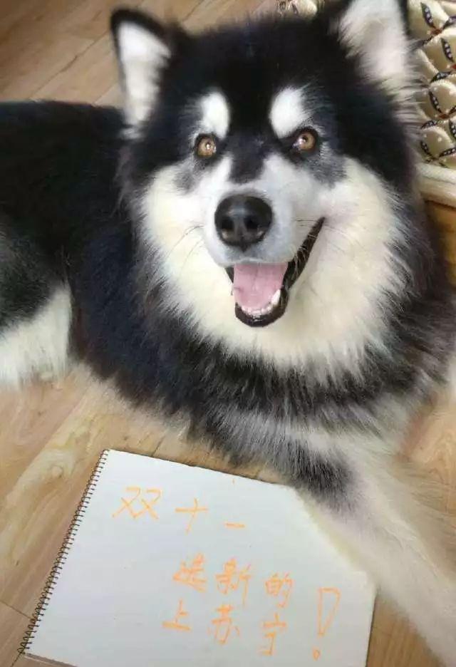 36个获客引流高招,36个赚钱金点子