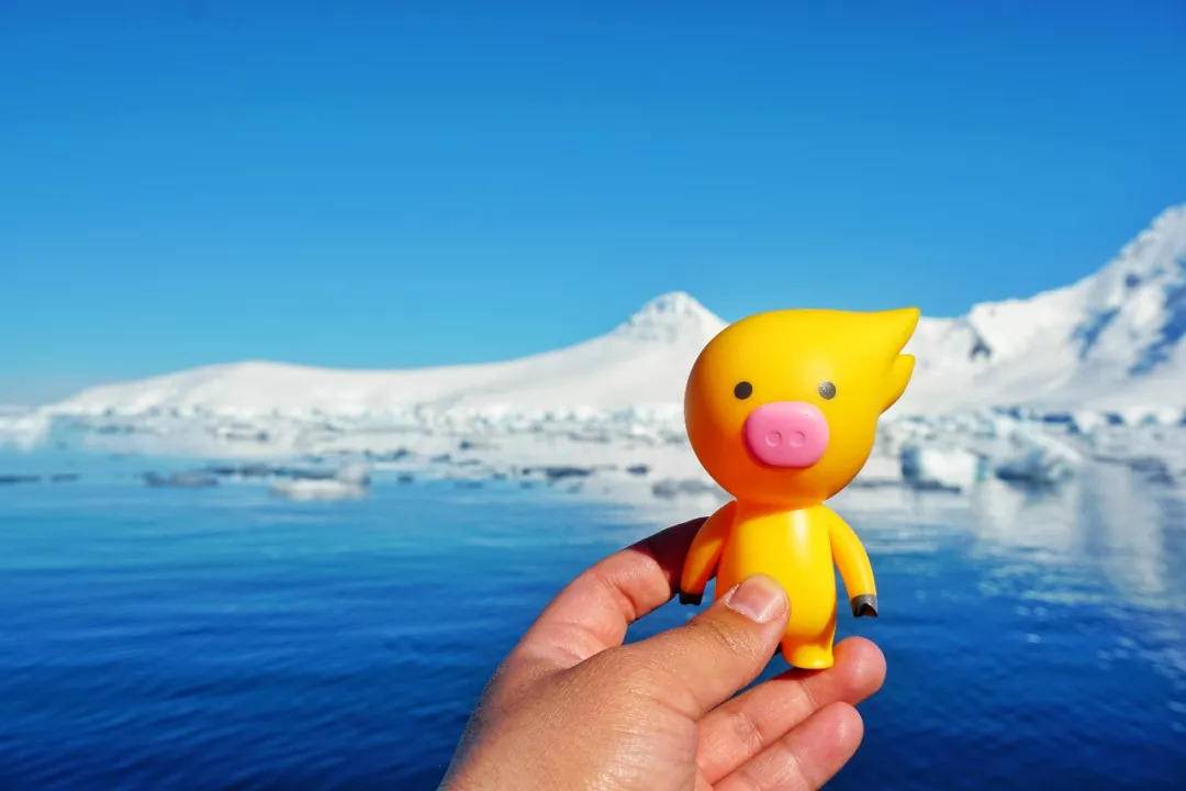 飞猪2000人南极旅游,去南极的旅行