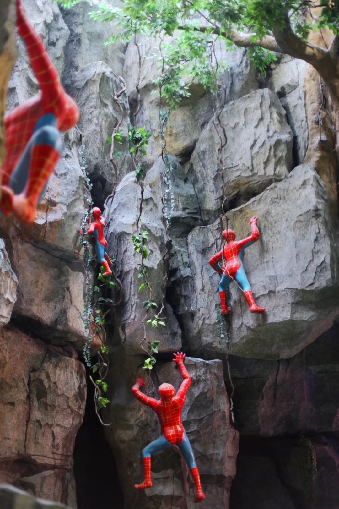 没有人来人往的城市,没有人山人海的地方