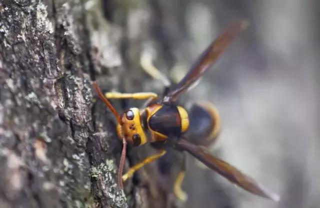 井底的驴的故事告诉我们什么启发,井中的驴子故事启发