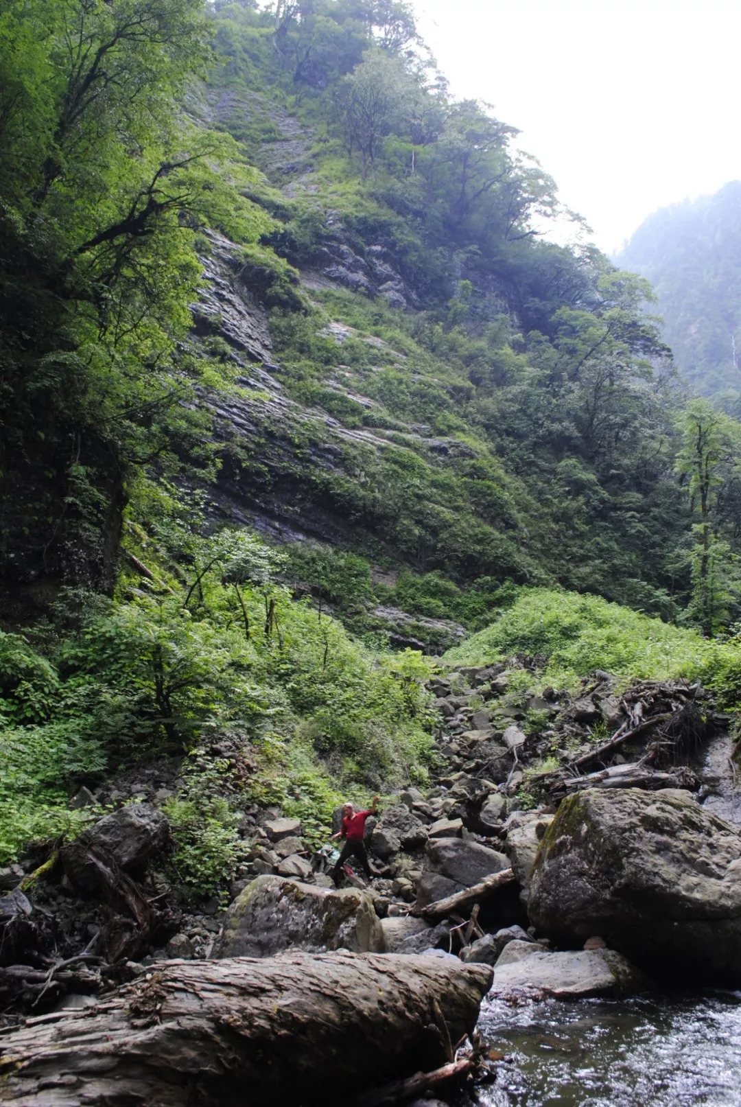 百慕大黑竹沟未解之谜,指南针失效