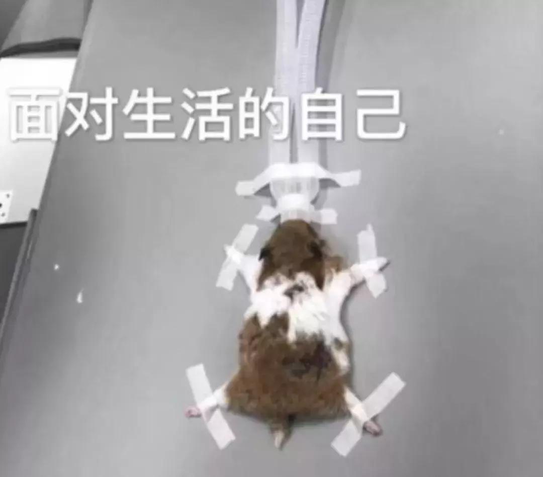 22岁女孩结扎,20岁女生结扎