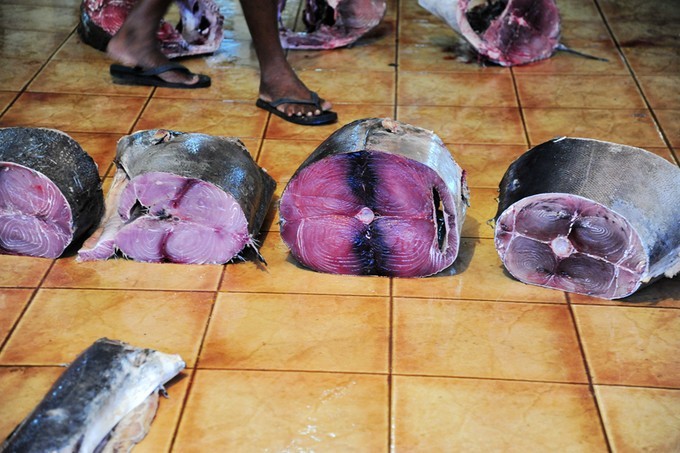 人文摄影斯里兰卡,锡兰风景