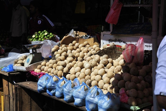 人文摄影斯里兰卡,锡兰风景