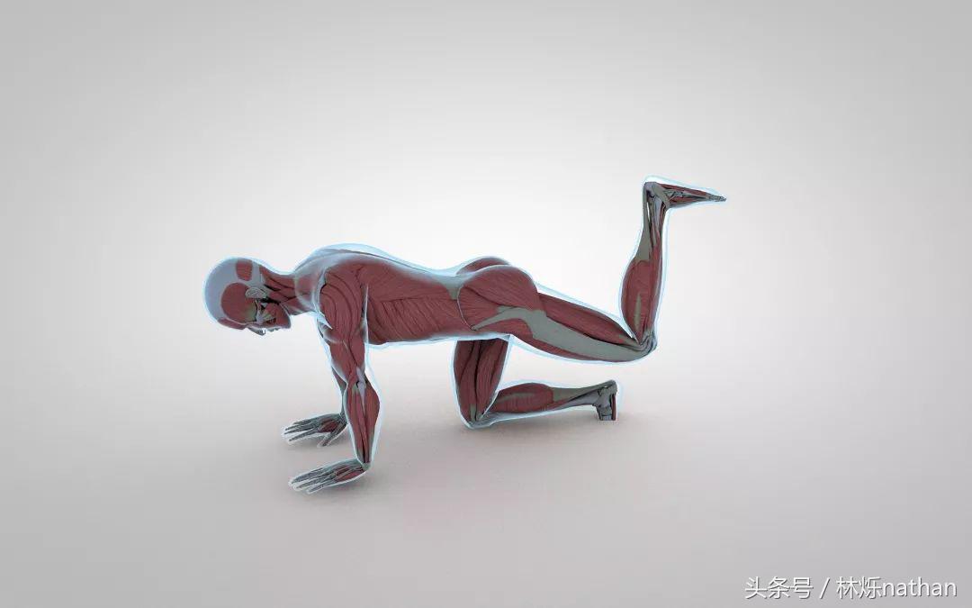 臀部训练需要掌握的细节,马华健美5分钟臀部训练