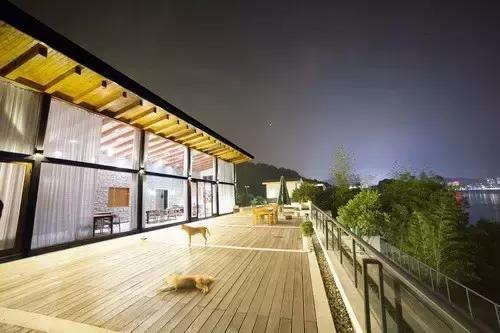 大叔为钓鱼买下一座岛,40岁大叔100块改造房间