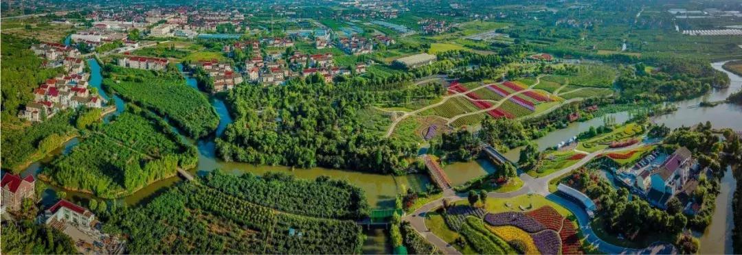 上海古镇必吃景点推荐,上海最美小镇