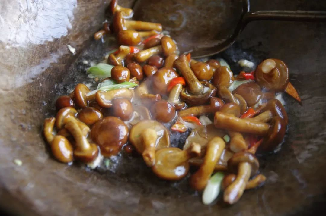 吃起来黏黏滑滑的黑色蘑菇,黏黏的大白蘑菇