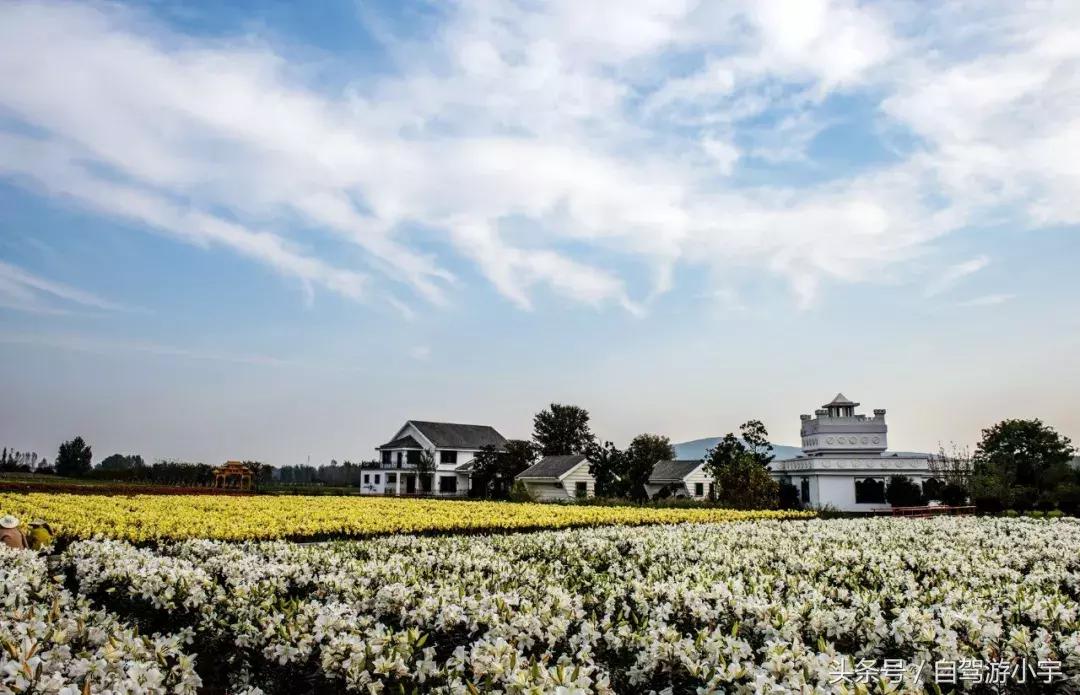 河南省赏红叶一日游,河南省秋天红叶最佳去处