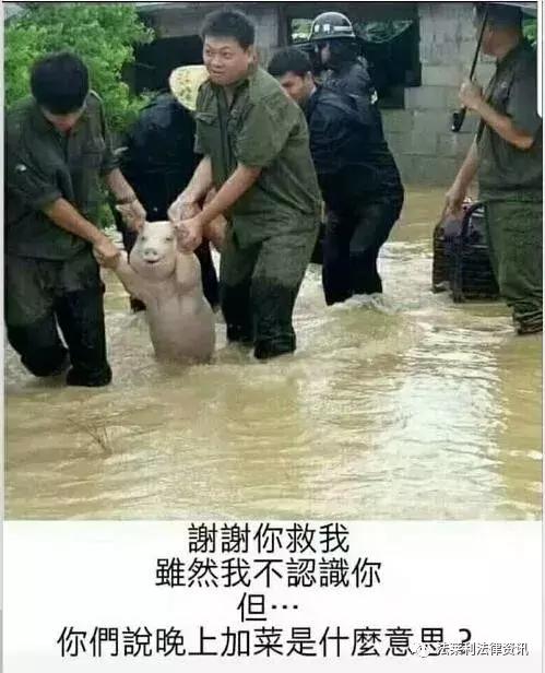 最高法对职业打假人的定性,关于最近职业打假人被抓