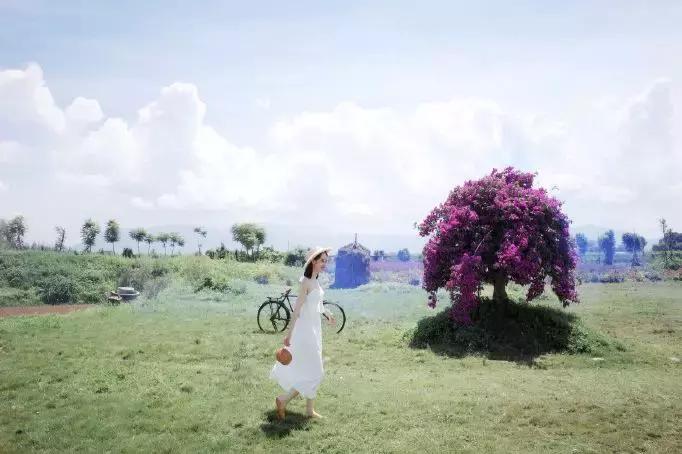 洱海打卡地拍照,洱海旅拍最佳景点推荐一下