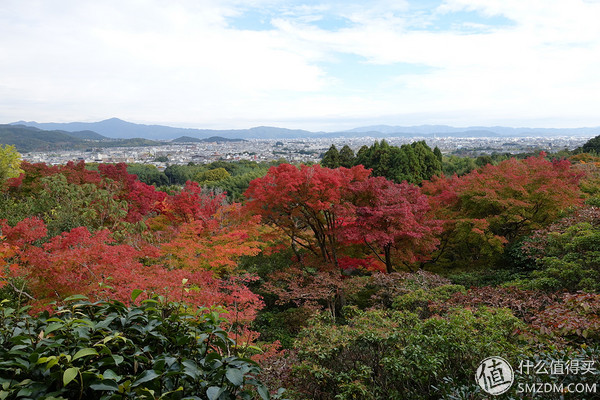 日本旅游签证流水账单,日本旅游要看账户流水不