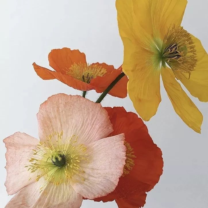 好穿又便宜的袜子推荐,淘宝好看的袜子