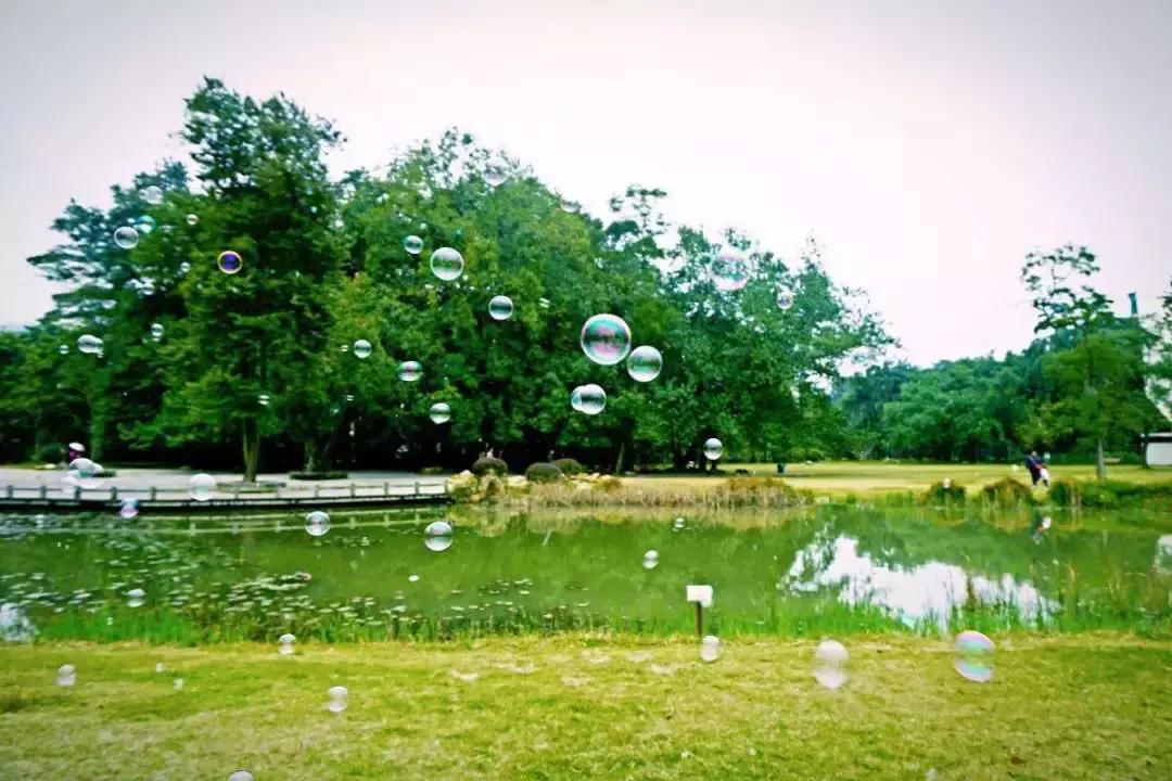 幼儿园秋游活动方案,幼儿园秋游活动准备通知