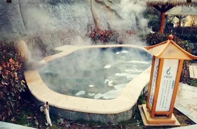 广东54家真温泉,广东惠州评价最好的温泉度假村