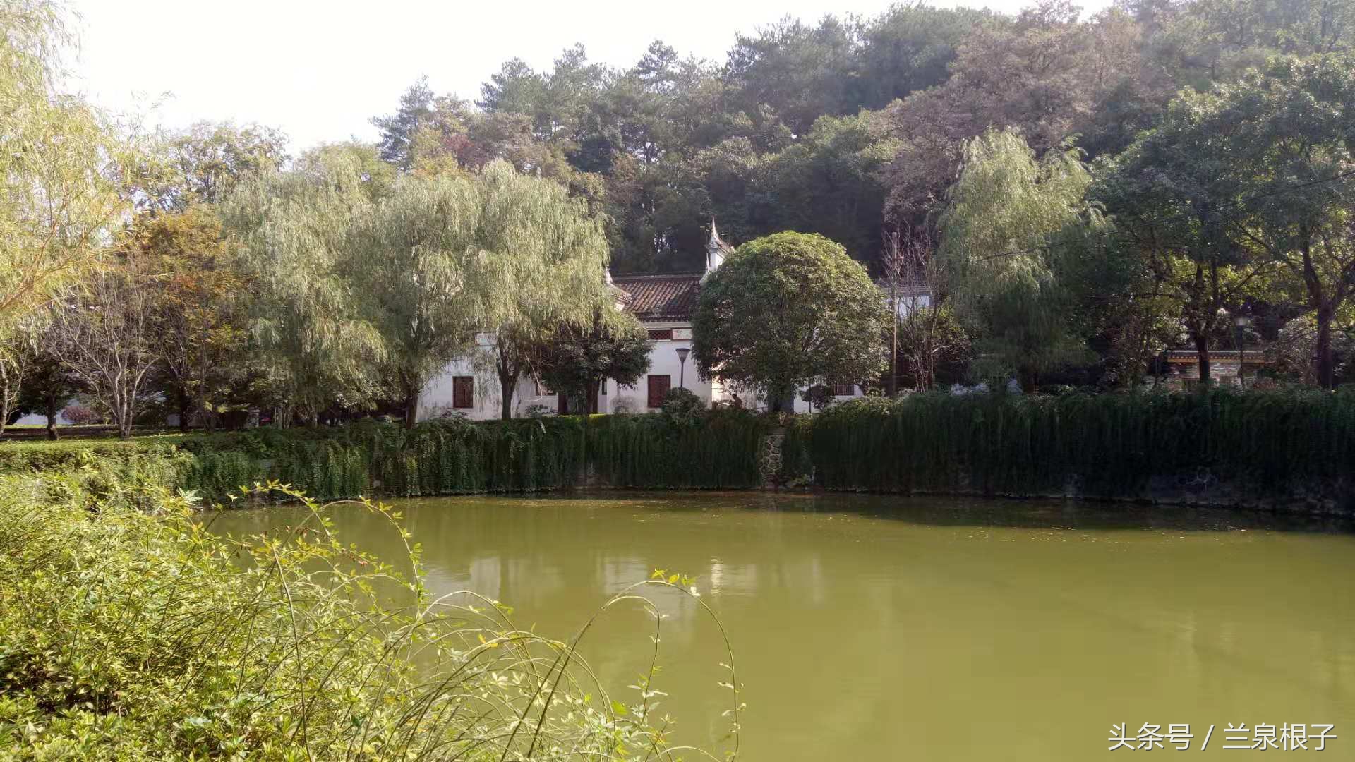 红太阳升起的地方图片,红太阳升起的地方歌曲