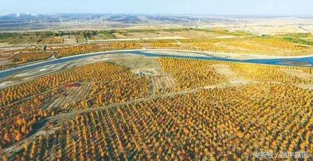 张掖冬季旅游优惠政策,张掖冬春旅游优惠政策