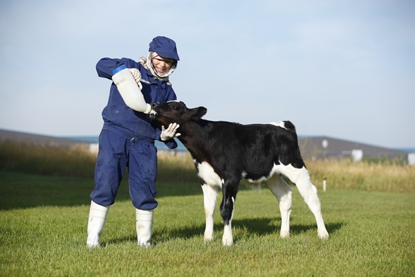 内地人香港买商品,为什么大家去香港买奶粉