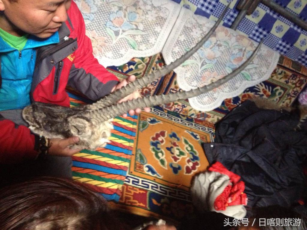 新藏自驾游详细攻略,藏西高原自驾游攻略