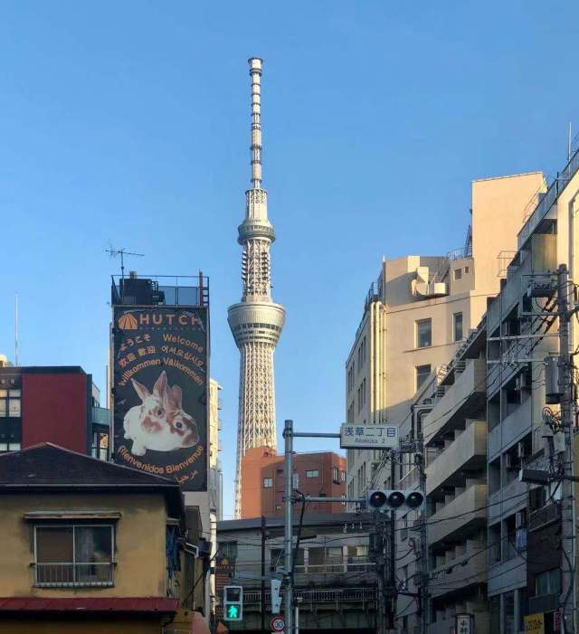 东京到镰仓和箱根攻略,东京箱根富士山镰仓