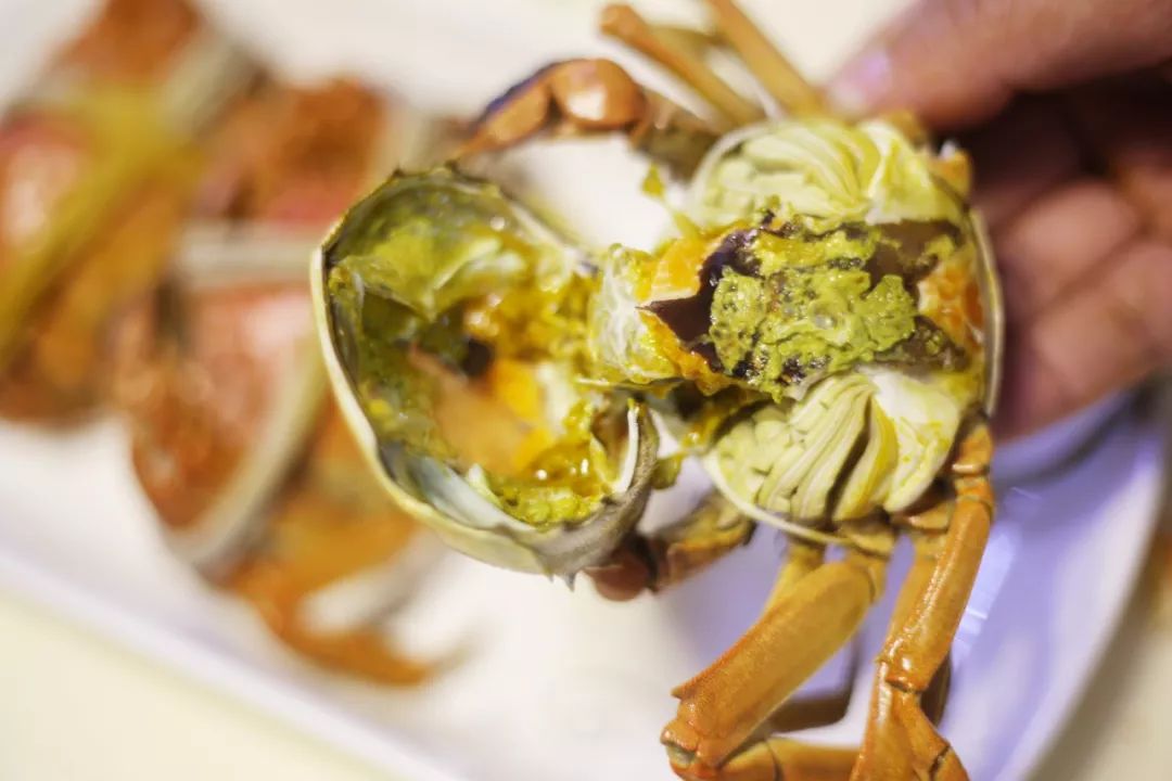 品尝清蒸大闸蟹公蟹和母蟹,清蒸大闸蟹前蟹需要处理吗