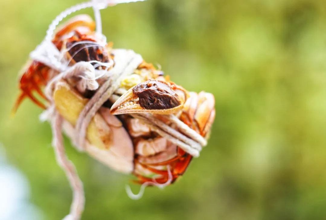 品尝清蒸大闸蟹公蟹和母蟹,清蒸大闸蟹前蟹需要处理吗