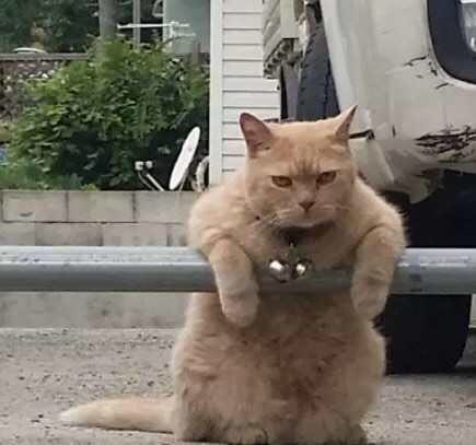 新加坡的罚款之城,新加坡被称为罚款之城