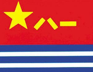 各国家的海军,海军最新军旗